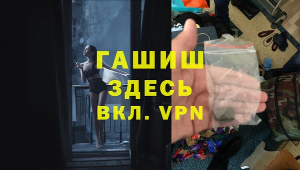 стаф Алзамай