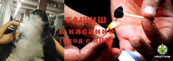 стаф Алзамай