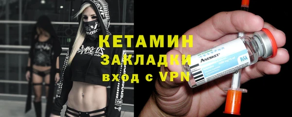 стаф Алзамай