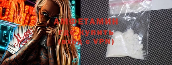 стаф Алзамай