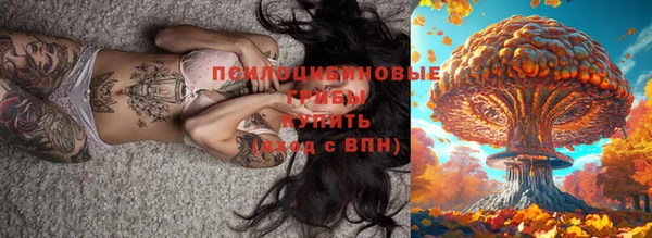 СК Алексеевка