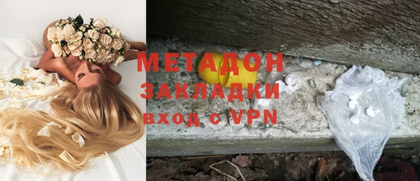 стаф Алзамай