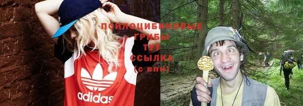 хмурый Алексин