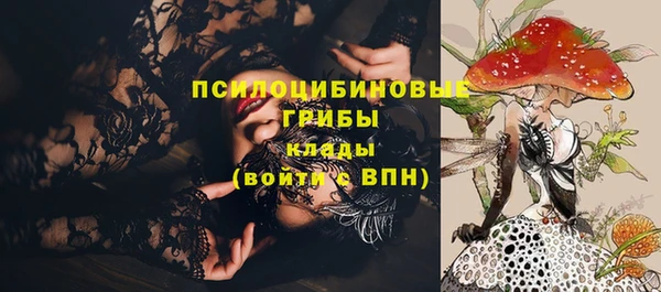 хмурый Алексин