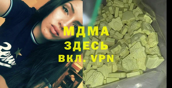 хмурый Алексин