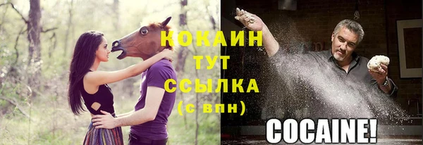 стаф Алзамай