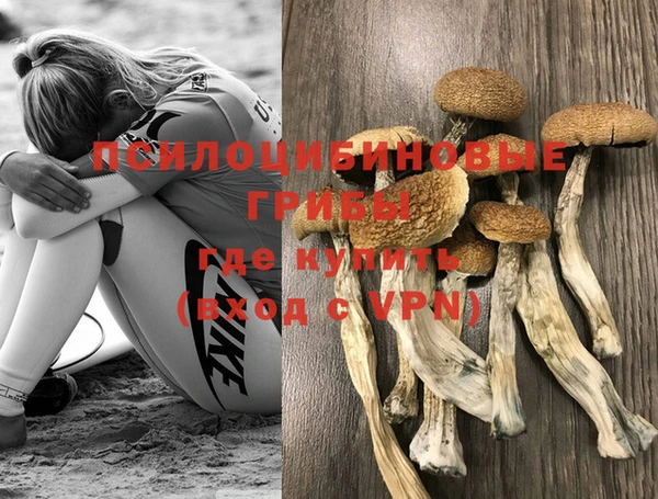 СК Алексеевка